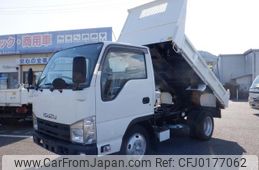 isuzu elf-truck 2013 GOO_JP_700102031530240904001