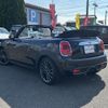 mini mini-others 2017 CFJ1643483 image 12