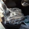 toyota roomy 2024 -TOYOTA 【岐阜 504つ607】--Roomy M900A-1136754---TOYOTA 【岐阜 504つ607】--Roomy M900A-1136754- image 9