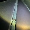 nissan moco 2006 CFJ1676827 image 29