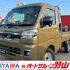 daihatsu hijet-truck 2024 CARSENSOR_JP_AU5973281691 image 1