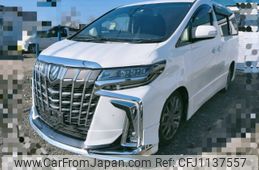 toyota vellfire 2009 -TOYOTA--Vellfire GGH25W--8011622---TOYOTA--Vellfire GGH25W--8011622-