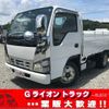 isuzu elf-truck 2007 GOO_NET_EXCHANGE_0730233A30240727W001 image 1