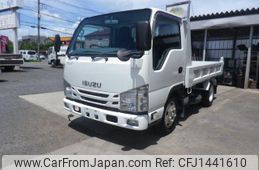 isuzu elf-truck 2019 GOO_NET_EXCHANGE_0502426A30250718W001