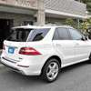 mercedes-benz m-class 2013 2455216-173160 image 6