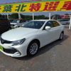 toyota mark-x 2019 quick_quick_DBA-GRX130_GRX130-6111989 image 10