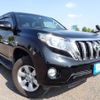 toyota land-cruiser-prado 2017 REALMOTOR_N2024080023F-10 image 2