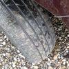 honda stepwagon 2010 -HONDA--Stepwgn DBA-RK1--RK1-1011439---HONDA--Stepwgn DBA-RK1--RK1-1011439- image 11