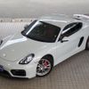 porsche cayman 2015 GOO_JP_700080027030240708001 image 27