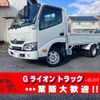 toyota dyna-truck 2017 GOO_NET_EXCHANGE_0702476A30241210W002 image 1