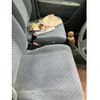 suzuki wagon-r 2006 -SUZUKI--Wagon R CBA-MH21S--MH21S-929548---SUZUKI--Wagon R CBA-MH21S--MH21S-929548- image 13