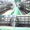 daihatsu hijet-truck 2020 CFJ1416148 image 10
