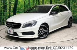 mercedes-benz a-class 2013 -MERCEDES-BENZ--Benz A Class DBA-176042--WDD1760422J157039---MERCEDES-BENZ--Benz A Class DBA-176042--WDD1760422J157039-