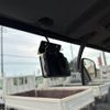 mitsubishi-fuso canter 2012 CFJ1456663 image 46