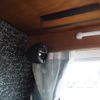 mazda bongo-truck 2021 GOO_JP_700120021230250612001 image 52