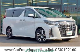 toyota alphard 2019 -TOYOTA--Alphard DBA-AGH30W--AGH30-0255736---TOYOTA--Alphard DBA-AGH30W--AGH30-0255736-