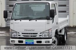 isuzu elf-truck 2018 GOO_NET_EXCHANGE_0302059A30250304W004