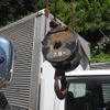 mitsubishi-fuso fighter 2012 GOO_NET_EXCHANGE_0403477A30250731W007 image 22
