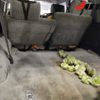 nissan safari 1994 -NISSAN--Safari WRGY60-510143---NISSAN--Safari WRGY60-510143- image 10
