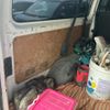 toyota regiusace-van 2016 CFJ1805271 image 9