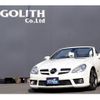 mercedes-benz slk-class 2009 quick_quick_171445_WDB1714452F219332 image 1