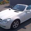 mercedes-benz slk-class 2007 quick_quick_DBA-171454_WDB1714542F154954 image 14