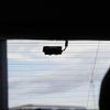 mercedes-benz glc-class 2017 CFJ1686359 image 27
