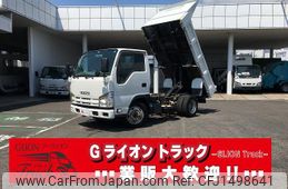 isuzu elf-truck 2013 GOO_NET_EXCHANGE_0702476A30250801W001