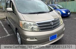 toyota alphard 2002 -TOYOTA--Alphard UA-ANH10W--ANH10-0008619---TOYOTA--Alphard UA-ANH10W--ANH10-0008619-