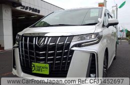 toyota alphard 2019 quick_quick_DBA-AGH30W_AGH30-0289241