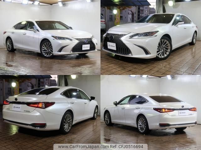 lexus es 2019 -LEXUS--Lexus ES 6AA-AXZH10--AXZH10-1002048---LEXUS--Lexus ES 6AA-AXZH10--AXZH10-1002048- image 2