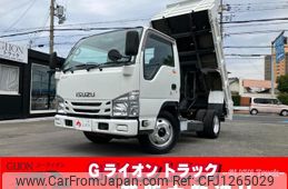 isuzu elf-truck 2016 GOO_NET_EXCHANGE_0730189A30250609W002