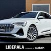 audi a3-sportback-e-tron 2021 -AUDI--Audi e-tron ZAA-GEEASB--WAUZZZGE3NB003325---AUDI--Audi e-tron ZAA-GEEASB--WAUZZZGE3NB003325- image 1