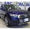 audi q5 2019 quick_quick_LDA-FYDETA_K2051145 image 13