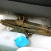 honda acty-truck 1995 CFJ9913618 image 20