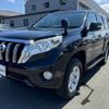 toyota land-cruiser-prado 2014 -TOYOTA--Land Cruiser Prado CBA-TRJ150W--TRJ150-0048704---TOYOTA--Land Cruiser Prado CBA-TRJ150W--TRJ150-0048704- image 11