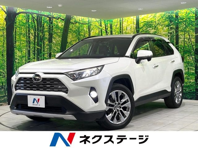 2019 Toyota Rav4 6BA-MXAA54 4WD - Car Price $19,465