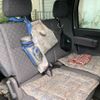 daihatsu atrai-7 2000 CFJ1864853 image 22