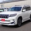 toyota land-cruiser-prado 2023 25522412 image 1