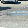 bmw x1 2018 CFJ1643896 image 7