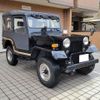 mitsubishi jeep 1996 quick_quick_J55_J55-11581 image 1