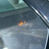 land-rover range-rover 2024 CFJ1711346 image 10