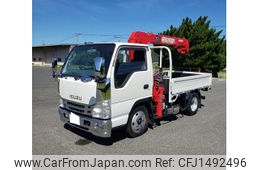 isuzu elf-truck 2009 GOO_NET_EXCHANGE_0803290A30250731W001