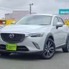 mazda cx-3 2018 -MAZDA--CX-3 6BA-DKEFW--DKEFW-106022---MAZDA--CX-3 6BA-DKEFW--DKEFW-106022- image 1