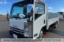 isuzu elf-truck 2009 GOO_NET_EXCHANGE_0901510A30250207W003