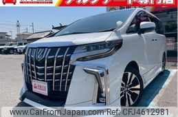 toyota alphard 2019 CFJ4612981