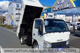 isuzu elf-truck 2011 GOO_NET_EXCHANGE_0600699A30250107W002