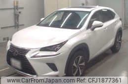 lexus nx 2019 CFJ1877361