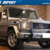 mercedes-benz g-class 2006 quick_quick_463248_WDB4632481X166524 image 1