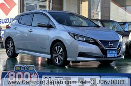 nissan leaf 2019 GOO_JP_700060017330250120037